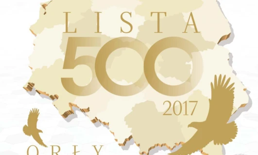 Reklama graficzna prezentująca najlepsze projekty z 2017 roku z użyciem czcionki ORLY i grafik z LISTY.