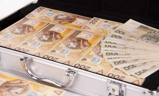 Polskie banknoty o różnych nominałach, w tym 200, 100 i inne. Pojęcie waluty, gotówki, obrotu pieniędzmi.