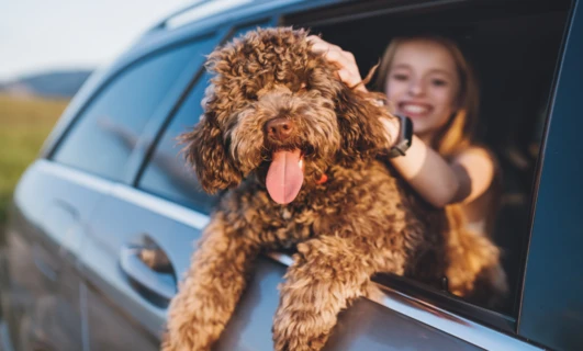 Trasa Szczęśliwych Zwierzaków – idealny plan na długi weekend