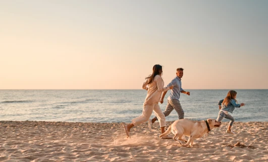 Trasa Wilków Morskich – przygoda nad Bałtykiem pełna tajemnic i legend